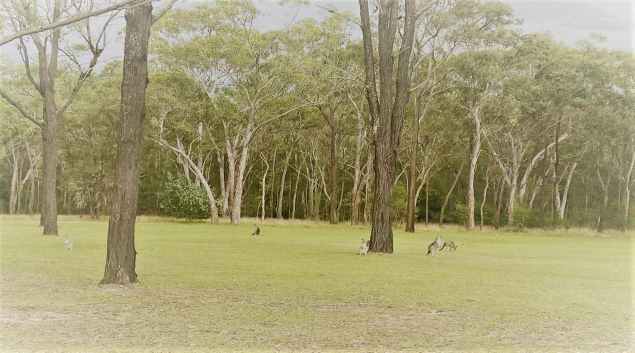 Unlax @ Hunter Valley โพโคลบิน ภายนอก รูปภาพ